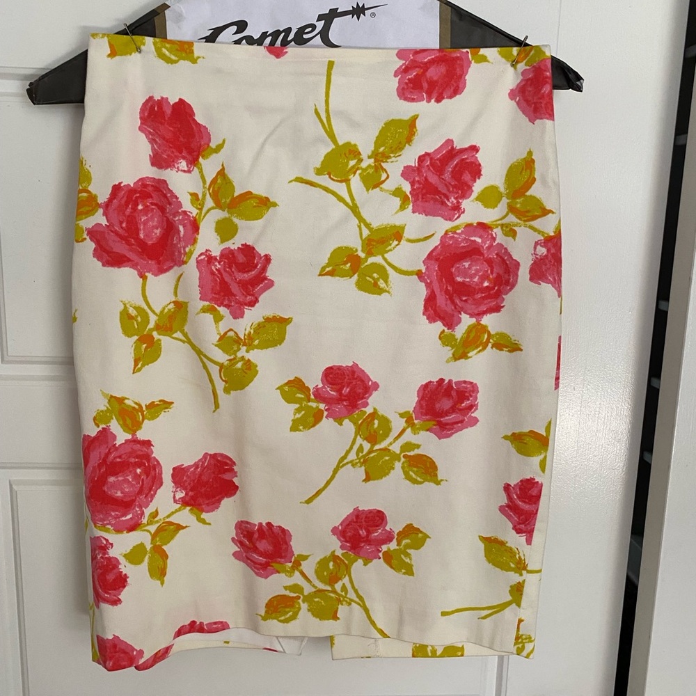Ann Taylor skirt